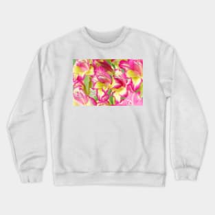 Gladiolus  'Laguna'  Also known as 'Flevo Laguna' Crewneck Sweatshirt